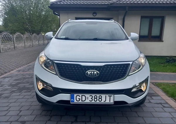 Kia Sportage cena 64800 przebieg: 86000, rok produkcji 2015 z Koluszki małe 562